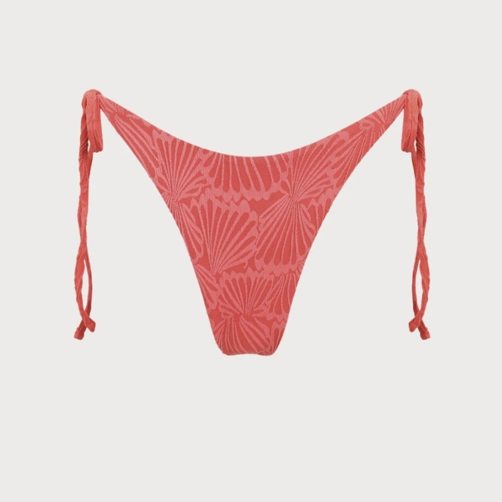 NWT Berlook Jacquard Shell Matching Bikini Set - Picture 10 of 12